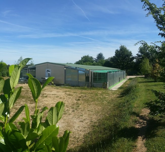 PENSION CANINE - photo 2