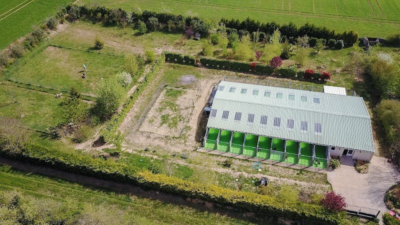 PENSION CANINE - photo 3