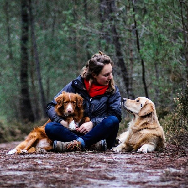 Entre chien et loup - Educateur canin comportementaliste - photo 1