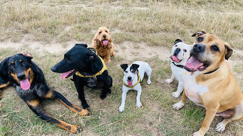 Les Amicanins - Ile De France