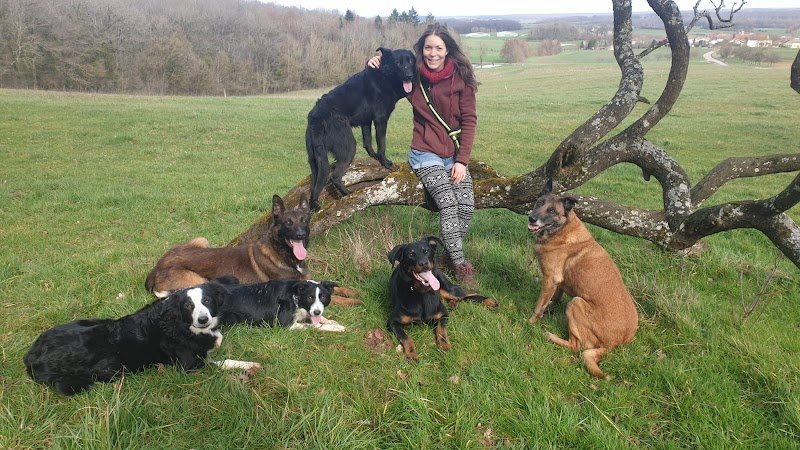 Laurène Cailac Educateur Canin Comportementaliste