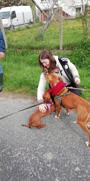 Laurène Cailac Educateur Canin Comportementaliste - photo 2