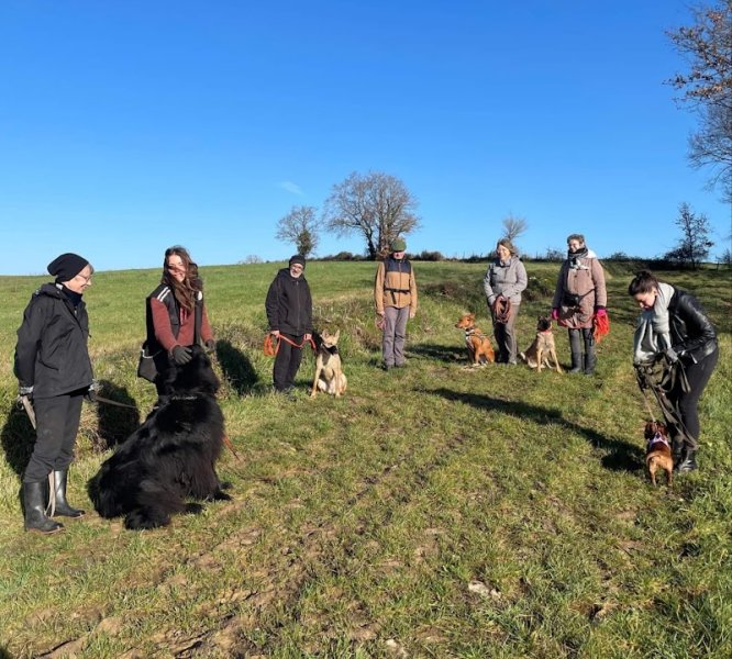 Laurène Cailac Educateur Canin Comportementaliste - photo 3
