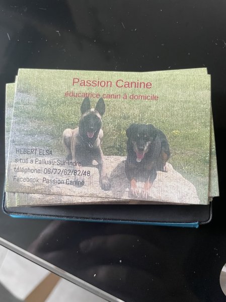 Passion canine