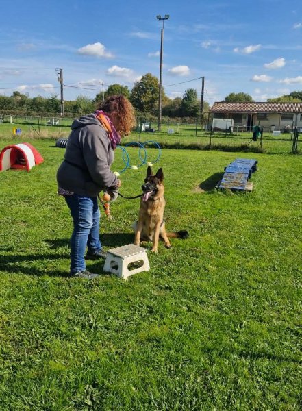 La Canine Novellienne - photo 3