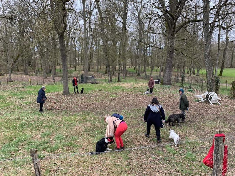 Cercle Cynophile Romorantinais - photo 1