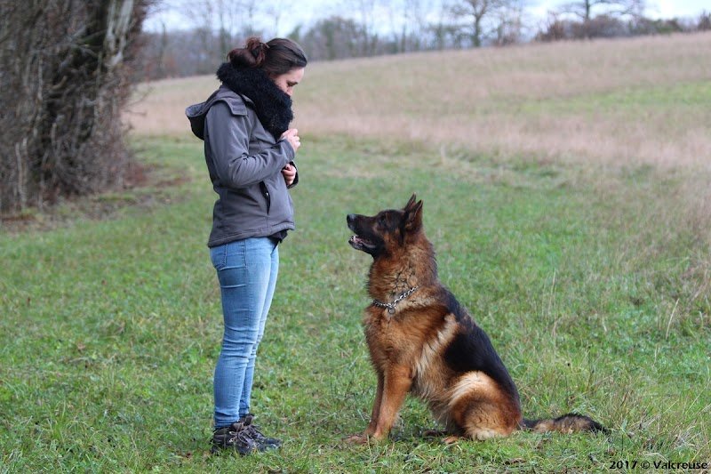Valcreuse, la comp'amie des chiens - photo 3
