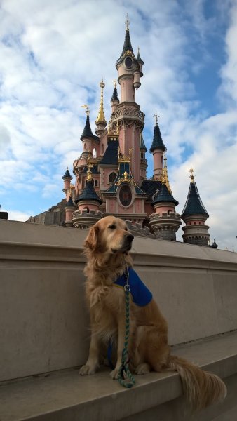 Centre HANDI'CHIENS Val-de-Loire