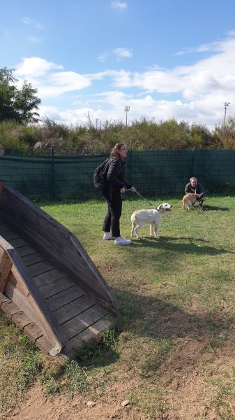 Centre HANDI'CHIENS Val-de-Loire - photo 3