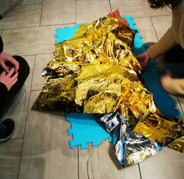 Secourisme animalier canin, félin et équin - photo 2