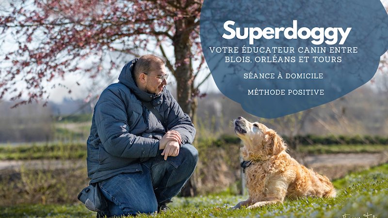 Superdoggy - Educateur et comportementaliste canin - Blois 41 Loir-et-Cher
