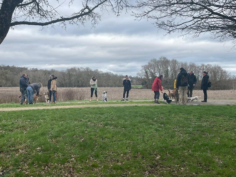 Superdoggy - Educateur et comportementaliste canin - Blois 41 Loir-et-Cher - photo 3