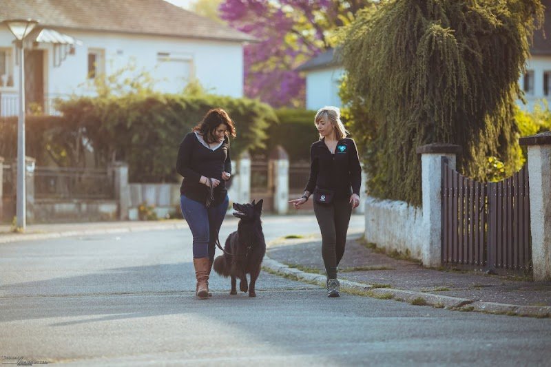 Marie-Ange Tartière - Éducatrice Comportementaliste canin et félin