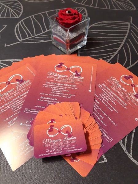 Margaux Landau Comportementaliste & Educatrice canin 86 - photo 3