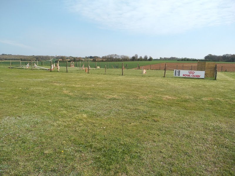 Amicale canine de Bethines