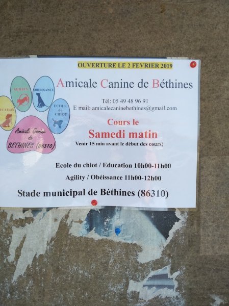 Amicale canine de Bethines - photo 3