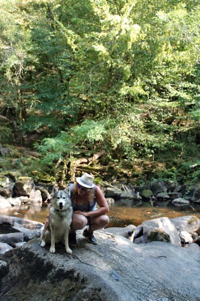 Assis ! J'avais su, éducateur comportementaliste canin - photo 1