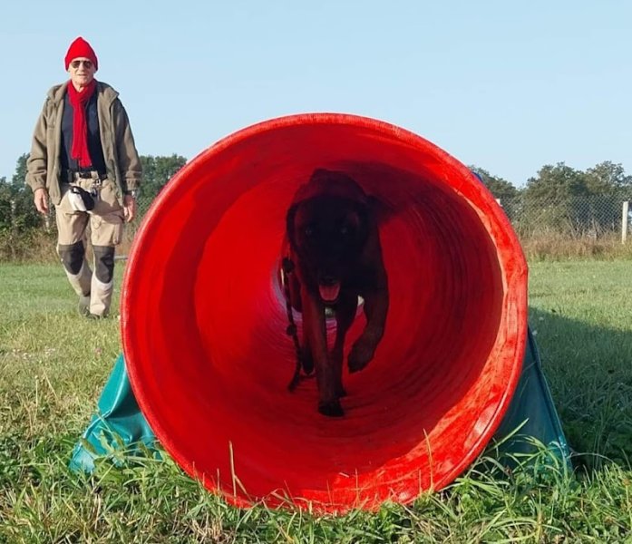 Educateur canin Indre-et-Loire 37, TRAINING DOG - photo 1