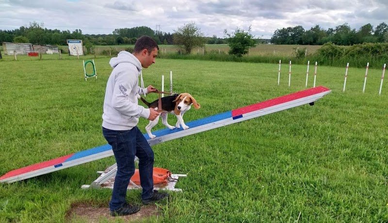 Educateur canin Indre-et-Loire 37, TRAINING DOG - photo 2