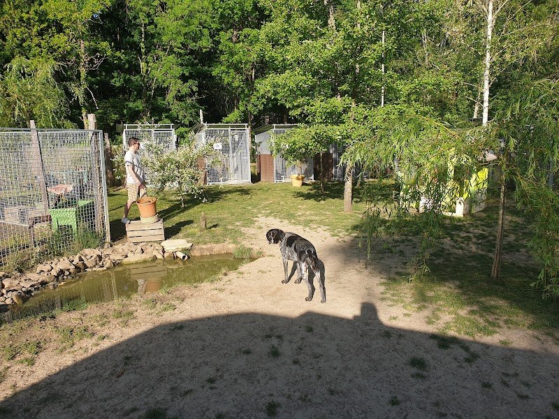 Au Paradis du Doggy - photo 3