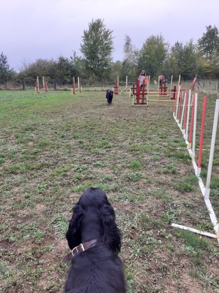 Cercle Canin Montrichardais - photo 1