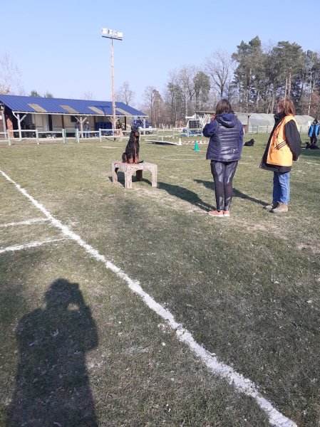 Cercle Canin Montrichardais - photo 2