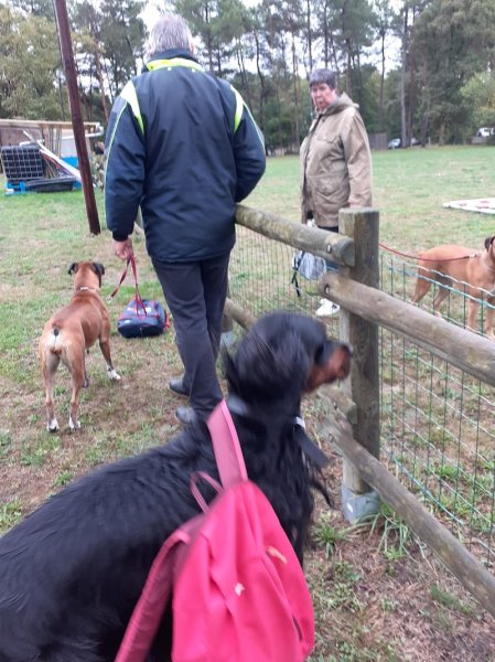 Cercle Canin Montrichardais - photo 3