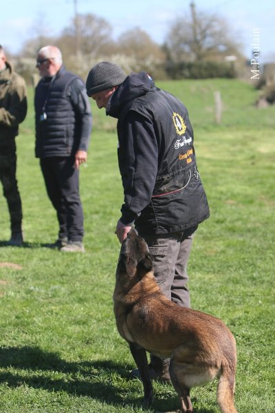 Centre canin du Temple D’Osiris - photo 2