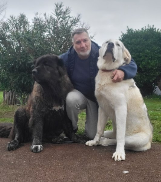 Les Gamins du Lac - Éducateur canin Haute-Vienne (87)