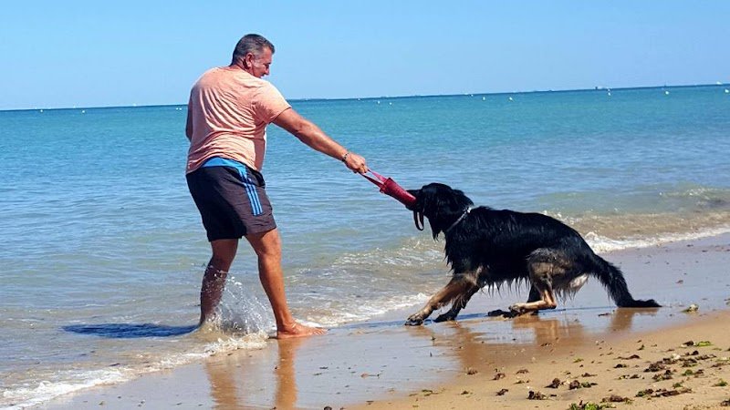 Les Gamins du Lac - Éducateur canin Haute-Vienne (87) - photo 2