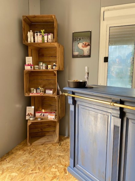 BreederDog Shop - photo 2