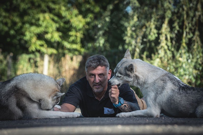 Plaisir canin Education canine