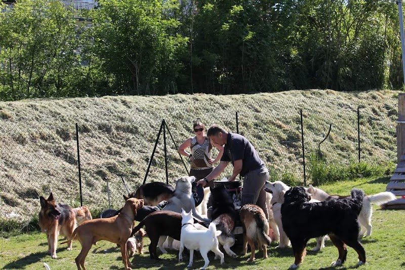 Plaisir canin Education canine - photo 2