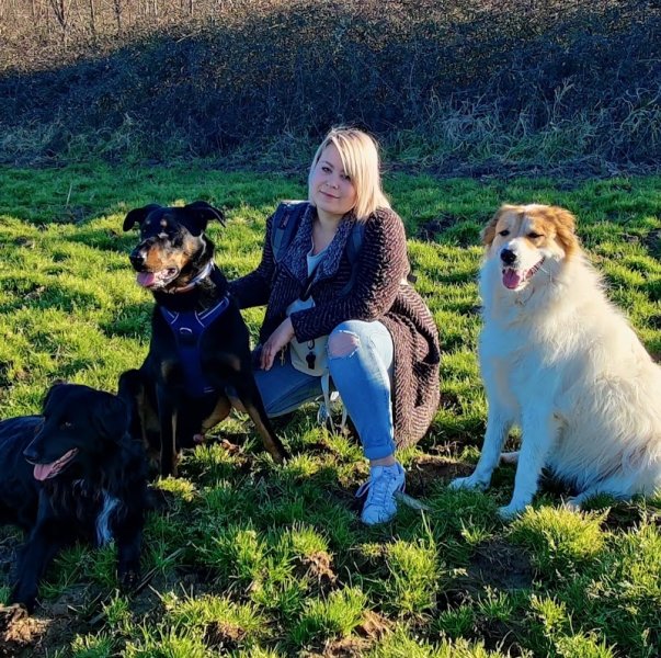 Éducateur canin RespectDogs Angoulême