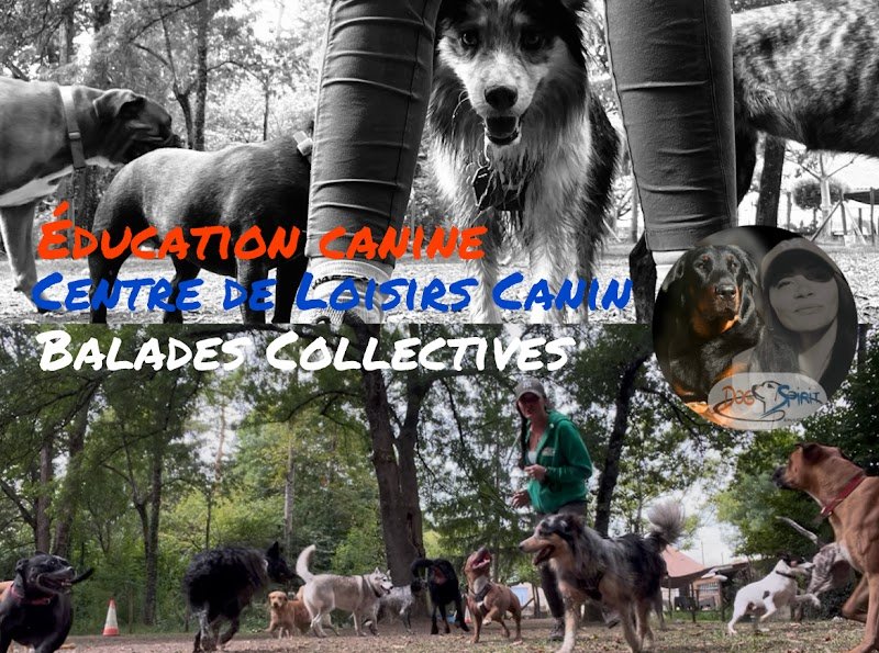 Dog'Spirit Education canine Angoulême