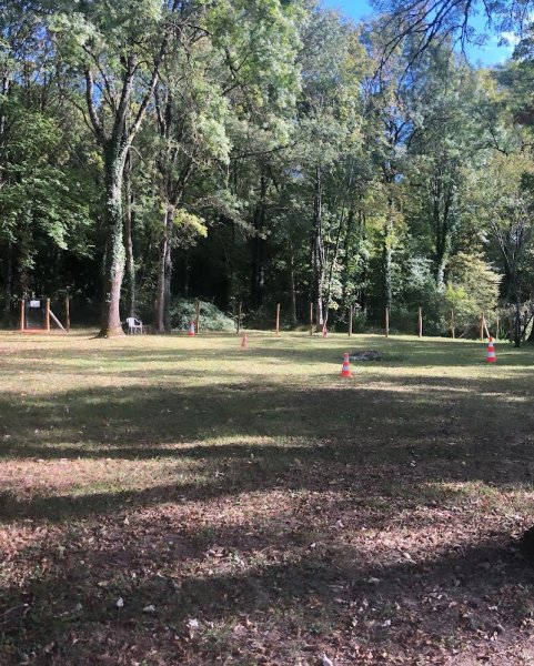 Dog'Spirit Education canine Angoulême - photo 2