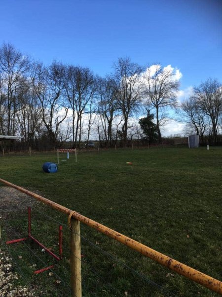 Centre d'Education Canine Cognaçais