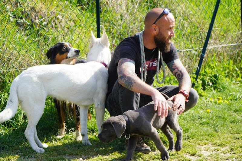 Canizone - educateur comportementaliste canin - photo 2