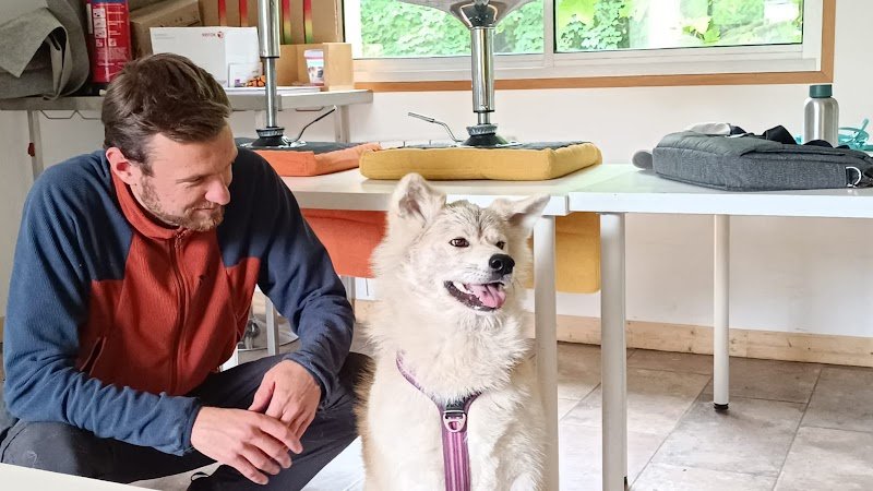 Cercle Canin De L'entre 2 Mers - photo 1