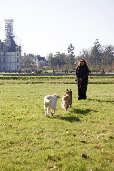 ANIRELAX COACH ANIMALIER - Educateur Canin - Indre-et-Loire et Loir-et-Cher - photo 2