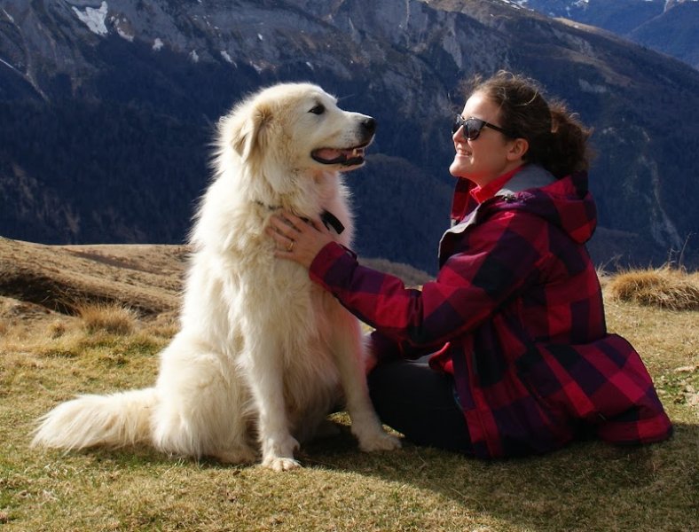 Éducateur canin - Autour de mon chien