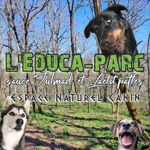 Madranges Julien éducateur comportementaliste canin