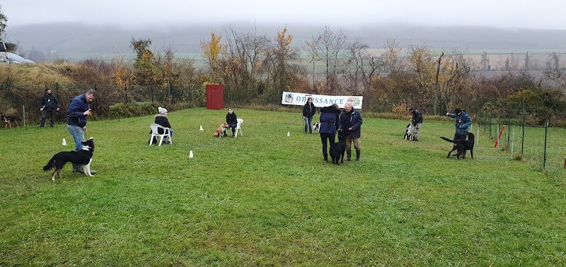 Club Canin du Sud de l'Aisne - photo 1