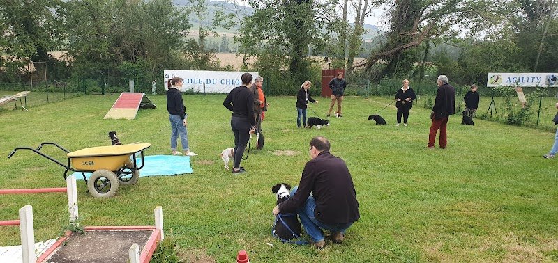 Club Canin du Sud de l'Aisne - photo 3