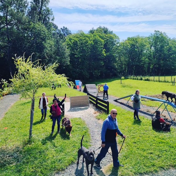 M T DOGS - ranch canin - photo 2