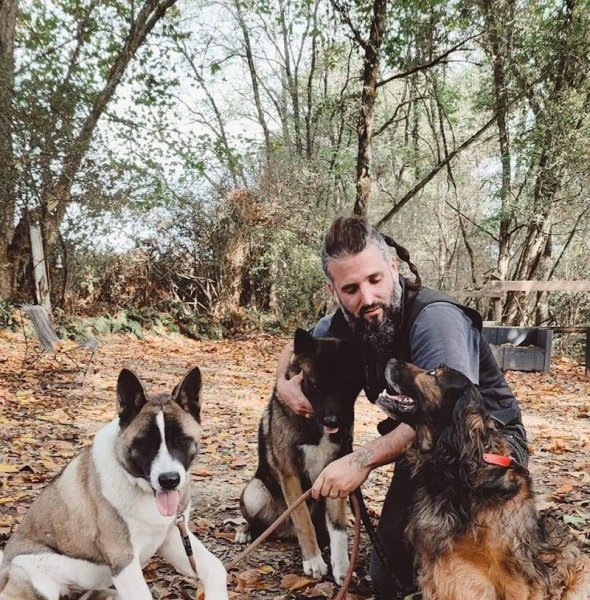 M T DOGS - ranch canin - photo 3