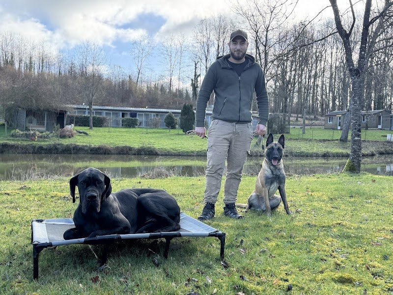 Passion Chien - photo 2