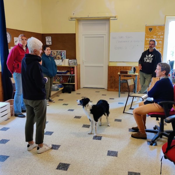 Chien Pluriel Spécialiste du Comportement Animal - photo 2