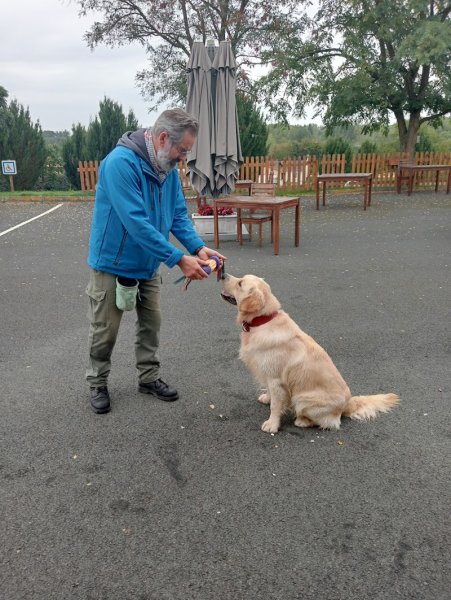 Chien Pluriel Spécialiste du Comportement Animal - photo 3