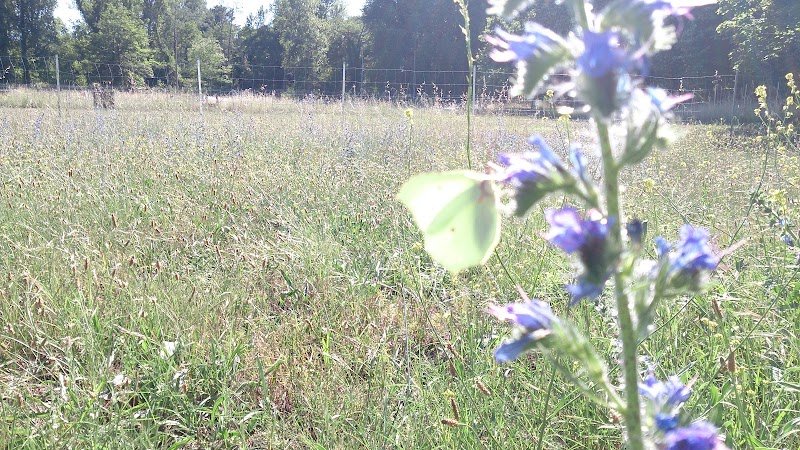 Tactichien - photo 3